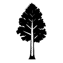 Bjørkemoen